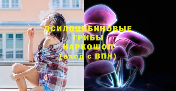 молекула духа Новокубанск