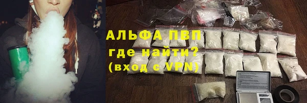 прущие грибы Нязепетровск