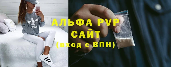 прущие грибы Няндома