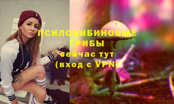 молекула духа Новокубанск