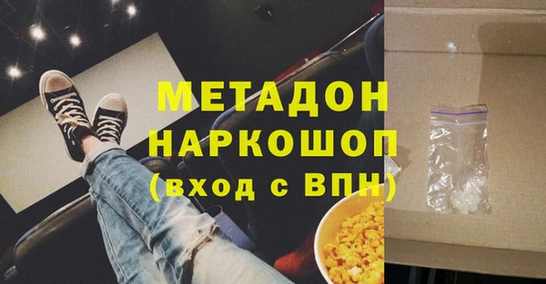 прущие грибы Няндома