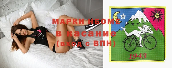 прущие грибы Няндома